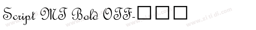 Script MT Bold OTF字体转换
